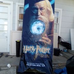 Harry Potter Movie Vinyl Poster