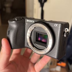 Sony A6600 Photo/video Camera