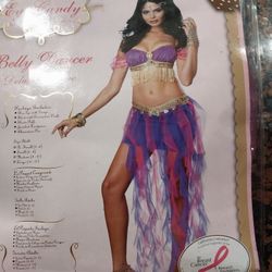 Belly Dancer Costume Size Small NEW