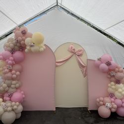 Backdrops Balloon Decor Baby In bloom