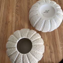 Rebecca Moses Decorative shells 