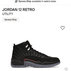 Jordan Retro 12 