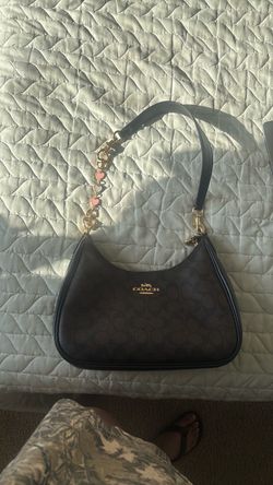 The Teri hobo COACH