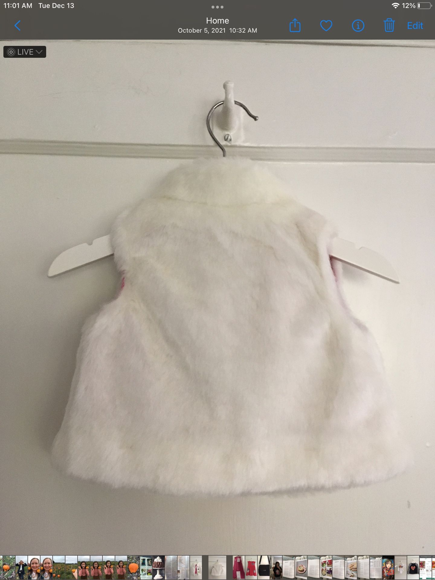 Gymboree Faux Fur Vest 6-12 Months