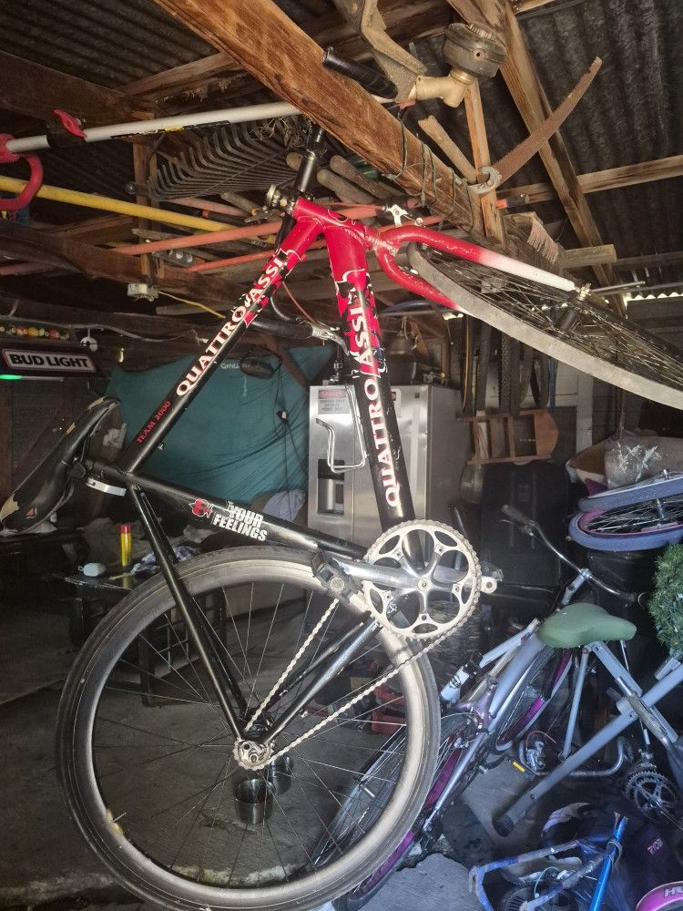 Quattro Assi Bike