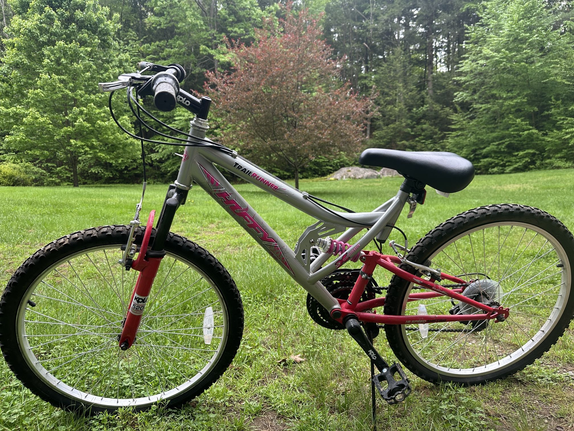 Girls Adult Bicycle