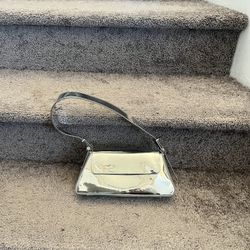 Zara Purse