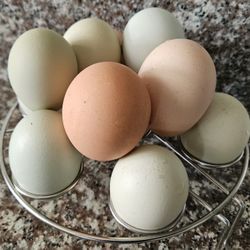 Organic Fresh Farm Eggs