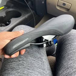 Schwinn Bike Seat