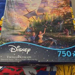 Disney Puzzle 750