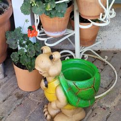 Standing Up Turtle Pot 