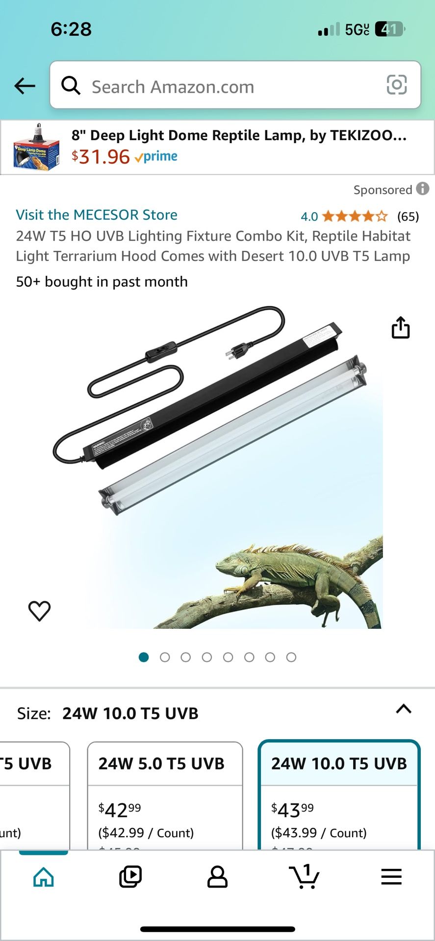 Reptiles