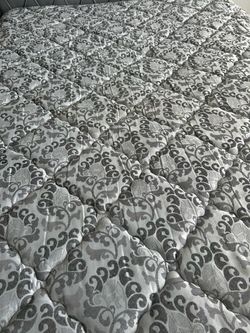 Queen Sealy Mattress