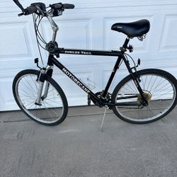 Beautiful Motobecane Cruiser