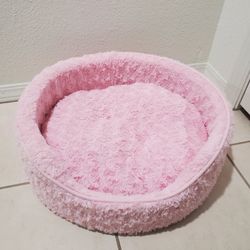 Cat Bed