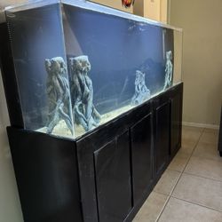 Fish Tank Aquarium 135 Gallon Acrylic 