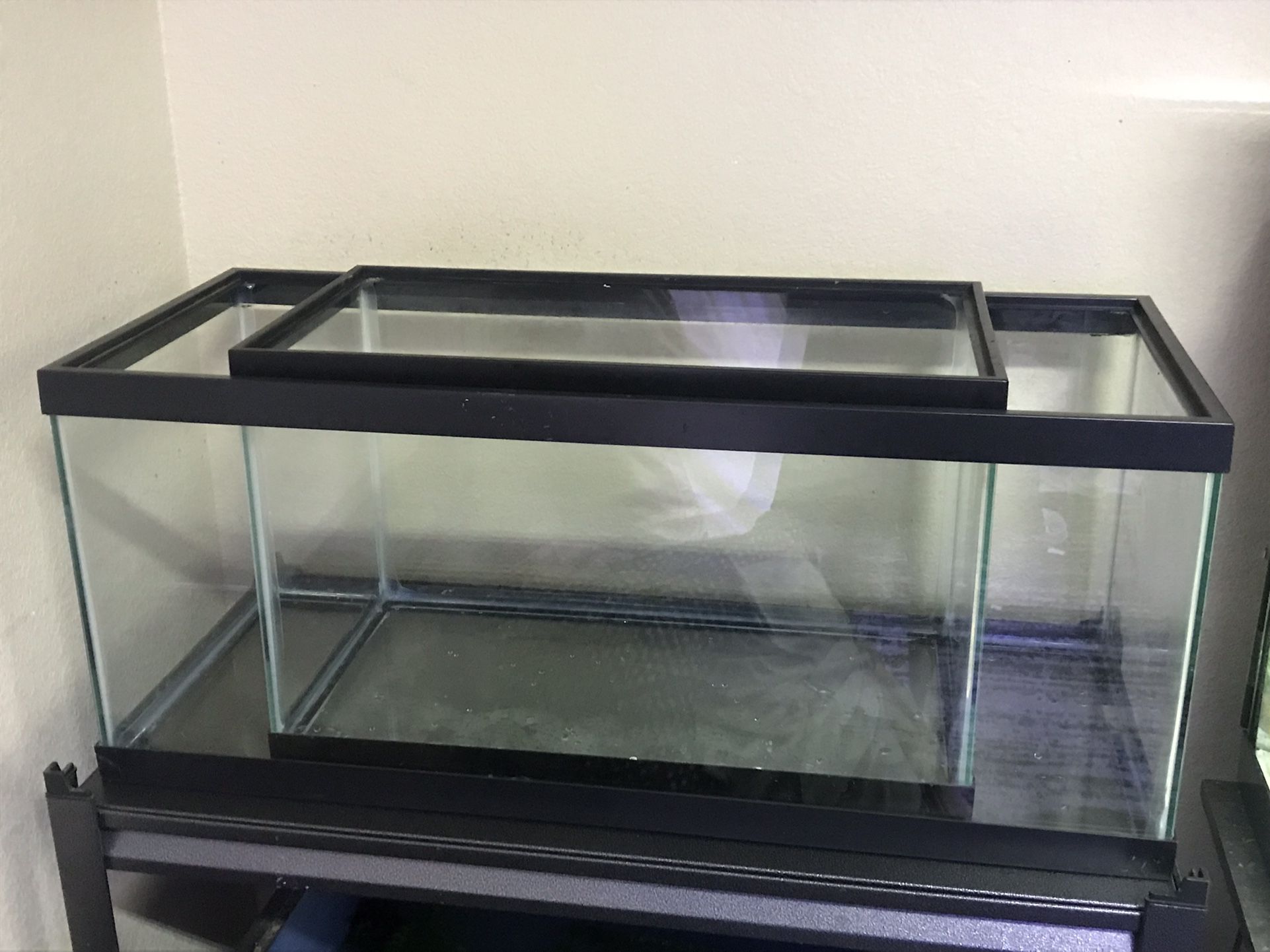 Aqueon 10 And 20 Gallon Aquariums