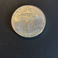 2005 Silver Eagle