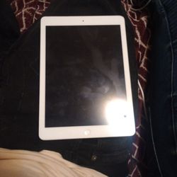 Apple iPad Air