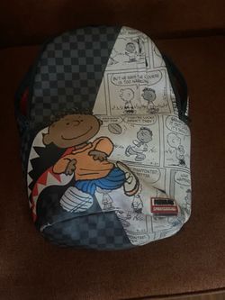 Sprayground
