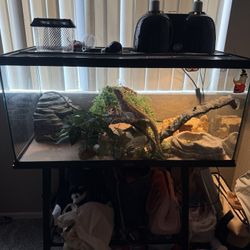 40 Gallon Reptile Terrarium, Includes Decor & Stand 