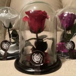 MOTHER’S DAY | PRESERVED ROSE BOX | WHITE, RED OR PURPLE | NEW | SMALL