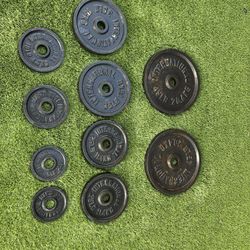 Weighted Plate Set