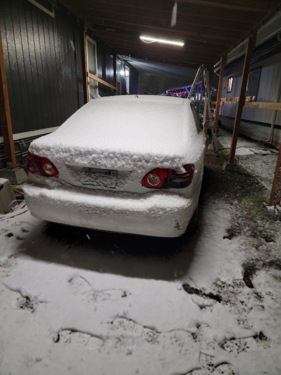 2005 Toyota Corolla
