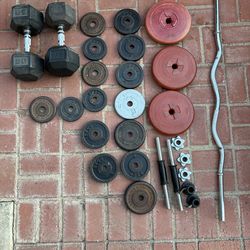 Weights - Olympic Weights - Dumbells - barbells - gym equipment - Olympic plates