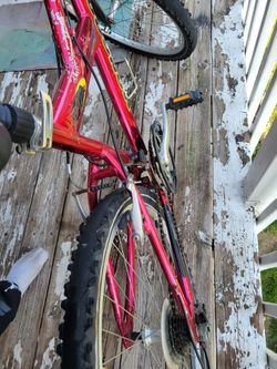 Mongoose bike with speed changer