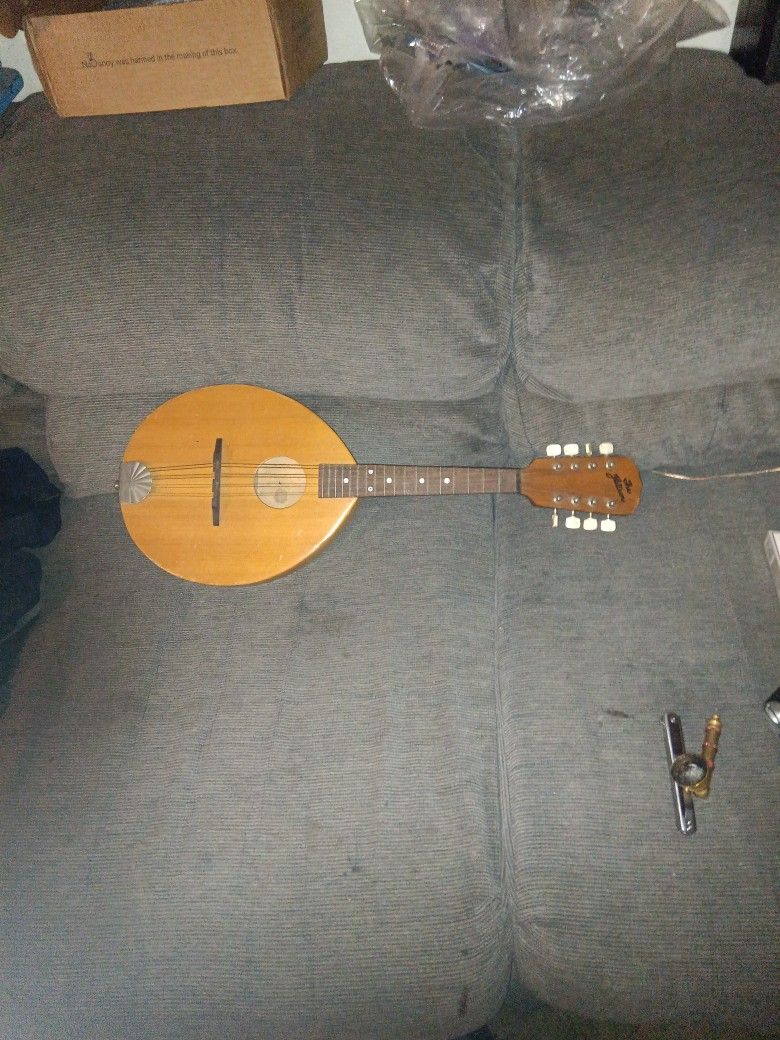 The Flatiron Mandolin
