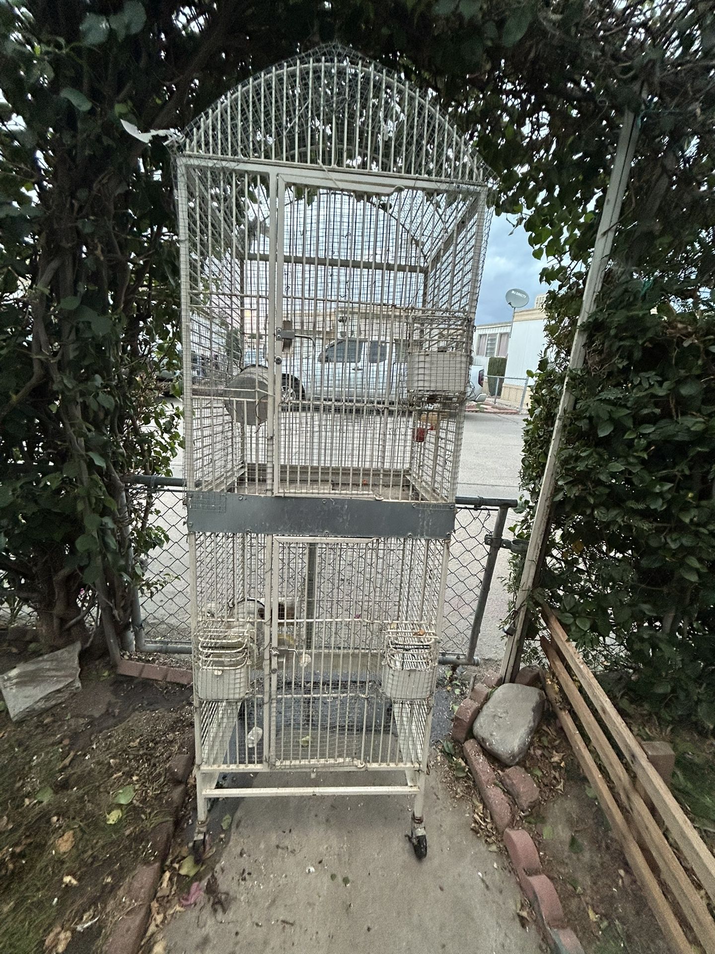 Bird Cage