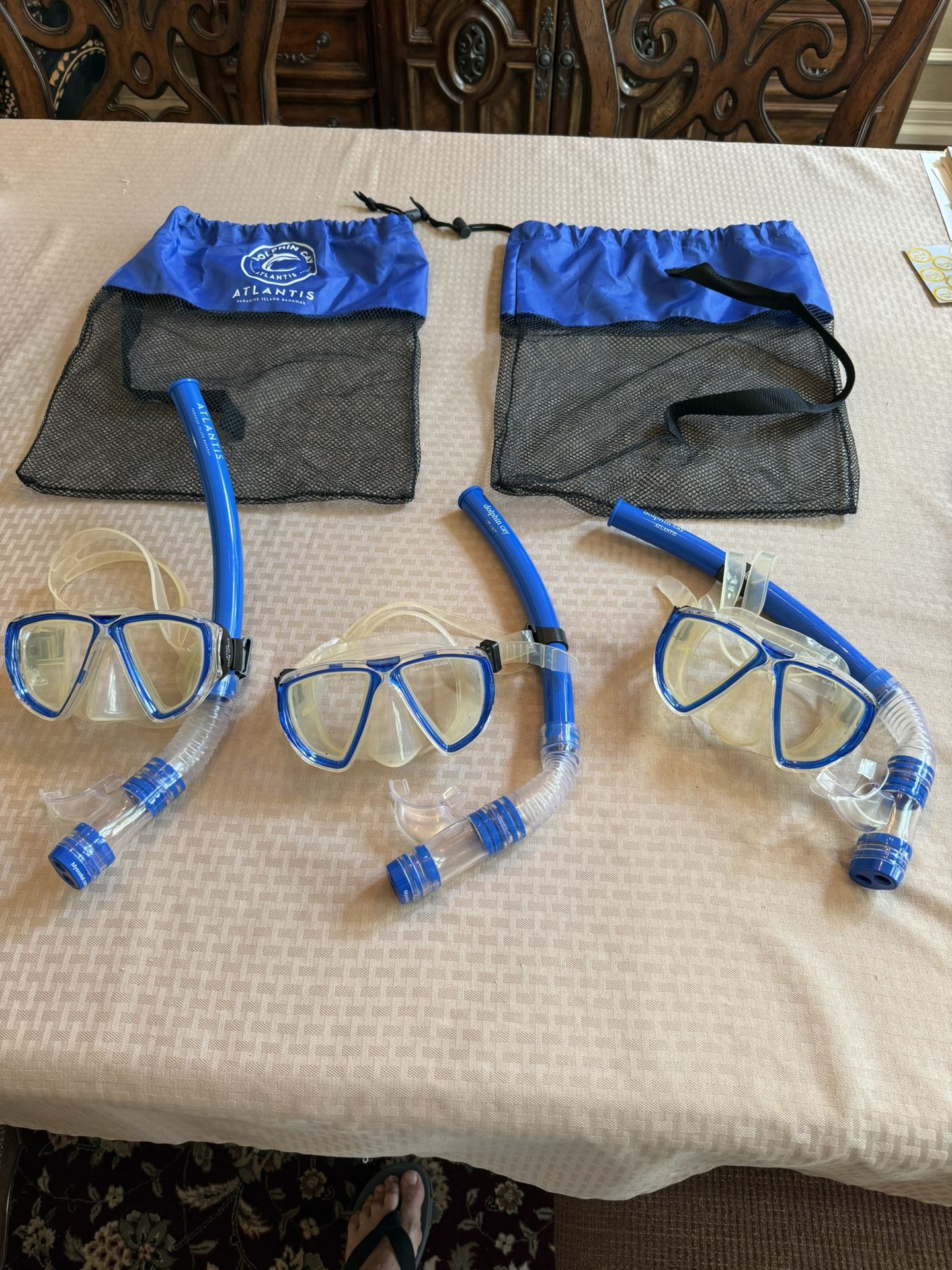 Atlantis Dolphin Cay snorkels