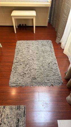 Outdoor indoor rug