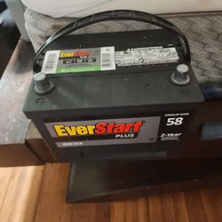 Everstart Battery 