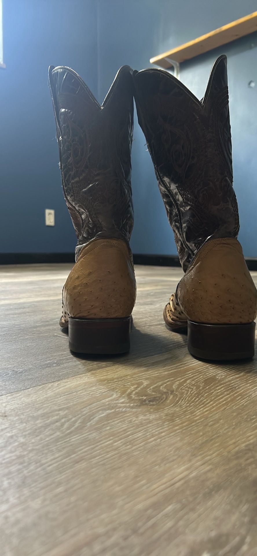 John Whaynee Ostrich Boots