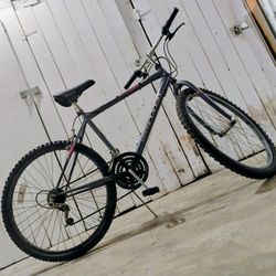 Union Flyer Mountain Bike 