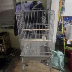 Bird Cage