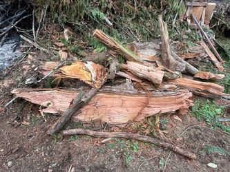 Pile of cedar wood