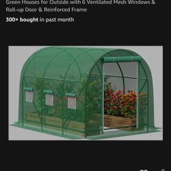 Small Greenhouse 