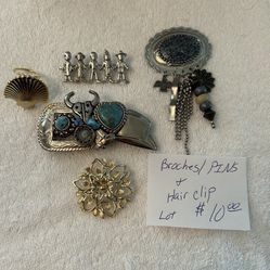 Broches, pins, and hair clip