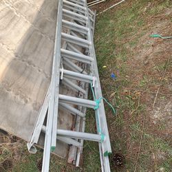 Extension Ladders 