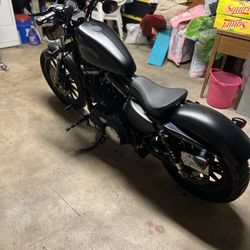 2013 Harley Davidson 