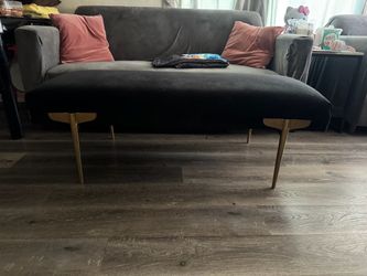 Black Velvet Bench