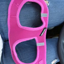 Size Medium Harness For Small Dog probably 15 Lbs Or Less