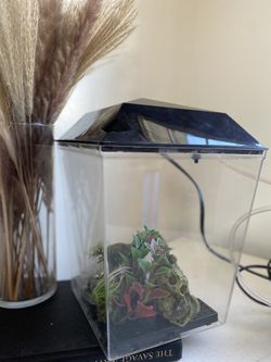 Aquarium Kit LED Lighting Internal Filter 1-Gallon Home Office Desk Betta Tank