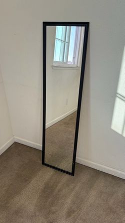 Door Mirror