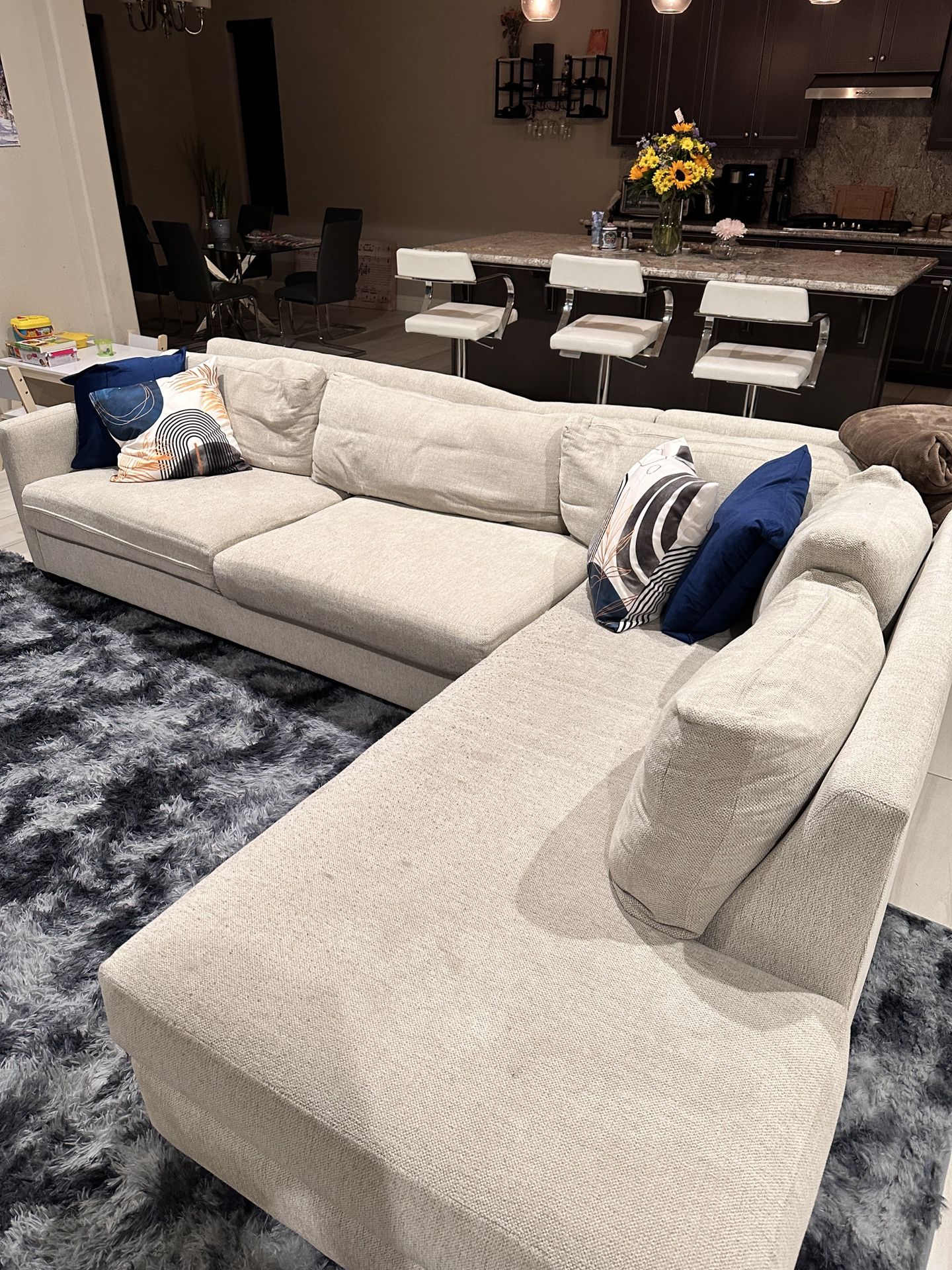 Elegant Sectional Couch With Chase