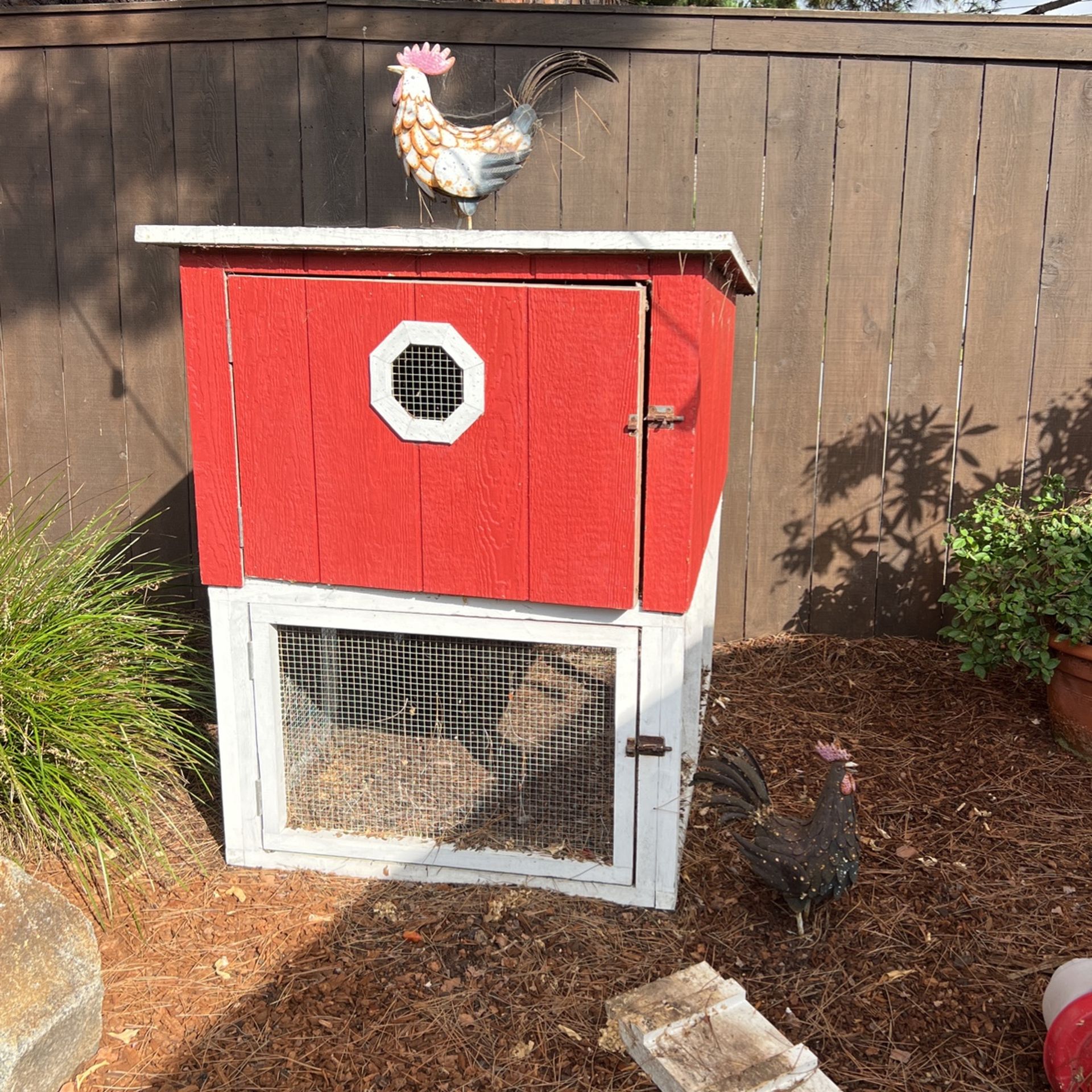Chicken coop - Price Reduction