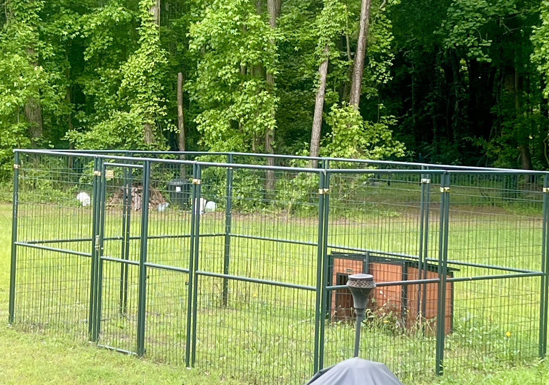 Dog Cage And Dog House